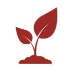 Ikona przedstawiająca listki wyrastające z gleby w kolorze rudym
